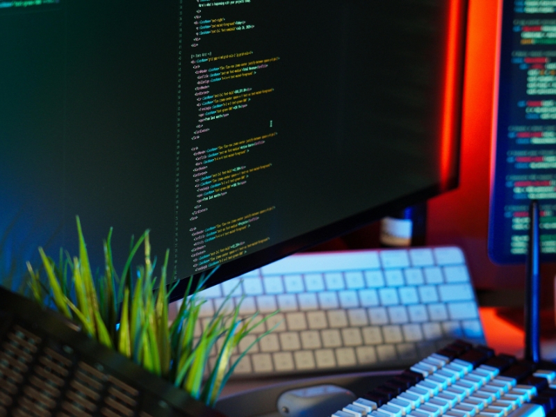 Softwareanalyse und IT-Gutachten